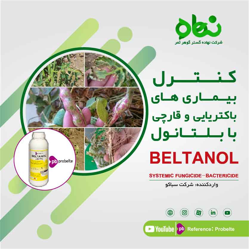 Control of bacterial and fungal diseases with Beltanol